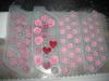 10pict8450mmb_t1.jpg