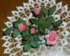 p1060621ruze_shora_t1.jpg