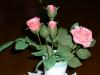 p1060626ruze_detail_t1.jpg