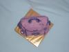 p1070048shora_t1.jpg