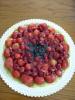 p1070065skleneny01_t1.jpg