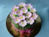 p1070197ruze06_t1.jpg