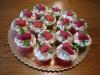 p1070253celek03_t1.jpg