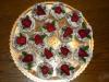 p1070255shora02_t1.jpg