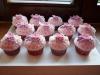 p1070322mufinky_celek02_t1.jpg