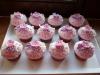 p1070329mufinky_celek03_t1.jpg