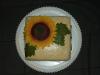 p1070434slunecnice06_t1.jpg