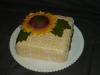 p1070435slunecnice05_t1.jpg