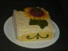 p1070437slunecnice02_t1.jpg