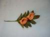 p1080290_t1.jpg