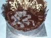 p1080529_t1.jpg