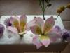 p1080563_t1.jpg