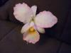 p1080576_t1.jpg