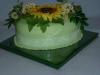 p1080686_t1.jpg
