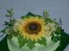 p1080688_t1.jpg