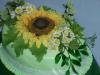 p1080690_t1.jpg