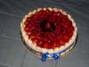 p1080899_t1.jpg