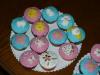 p1090168_t1.jpg