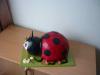 p1100318_t1.jpg