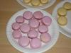 p1100397_t1.jpg