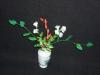p1110085_t1.jpg