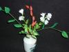 p1110086_t1.jpg