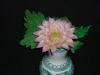 p1110088_t1.jpg