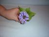 p1110142_t1.jpg
