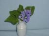 p1110159_t1.jpg