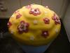 p1110261_t1.jpg