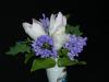 p1110302_t1.jpg