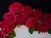 p1110363_t1.jpg