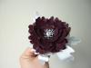 p1110663_t1.jpg