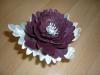 p1110664_t1.jpg