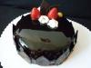 p1120415_t1.jpg