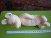 p1120491_t1.jpg