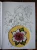 p1120681_t1.jpg